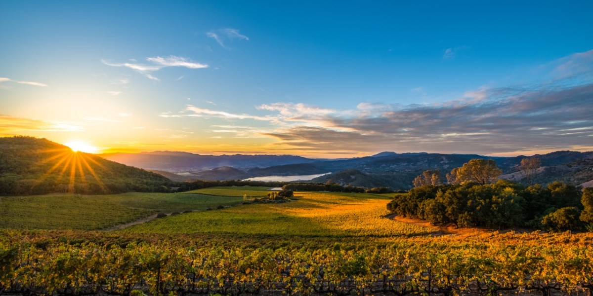 Everyone Needs a Wine Weekend—Here’s Where to Go