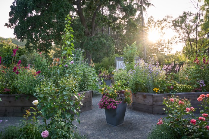 Pine House Edible Gardens Raised Beds