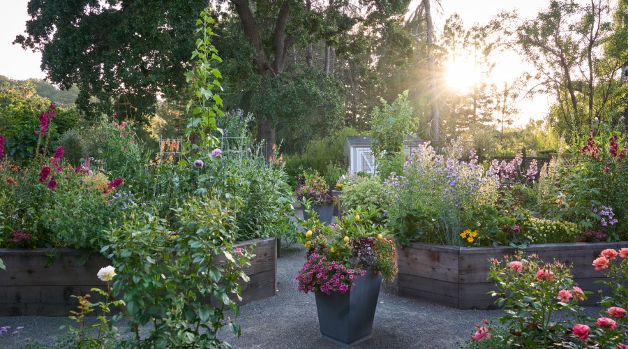 Late Summer Is Actually a Make-or-Break Time for Your Fall Garden—Here's Your To Do List