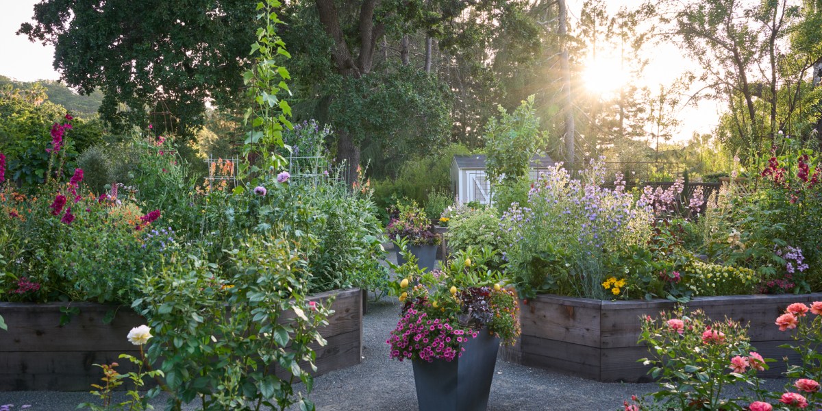 Late Summer Is Actually a Make-or-Break Time for Your Fall Garden—Here’s Your To Do List