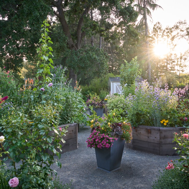 Late Summer Is Actually a Make-or-Break Time for Your Fall Garden—Here’s Your To Do List