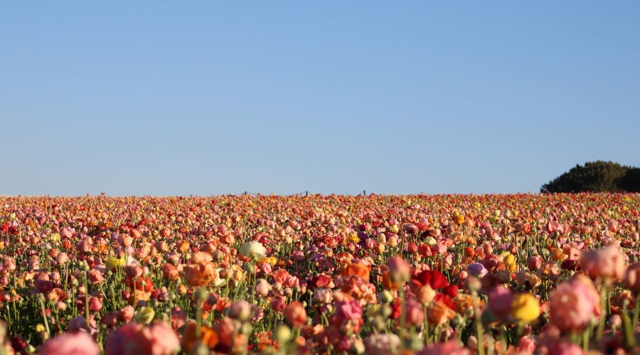 The Iconic Western Destinations Everyone Should Visit at Least Once