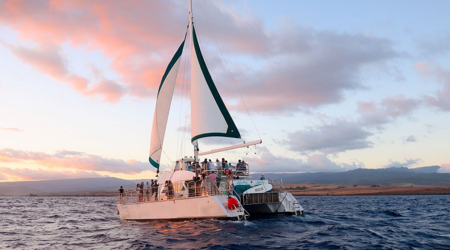 Your Next Vacation Should Be a Water Adventure