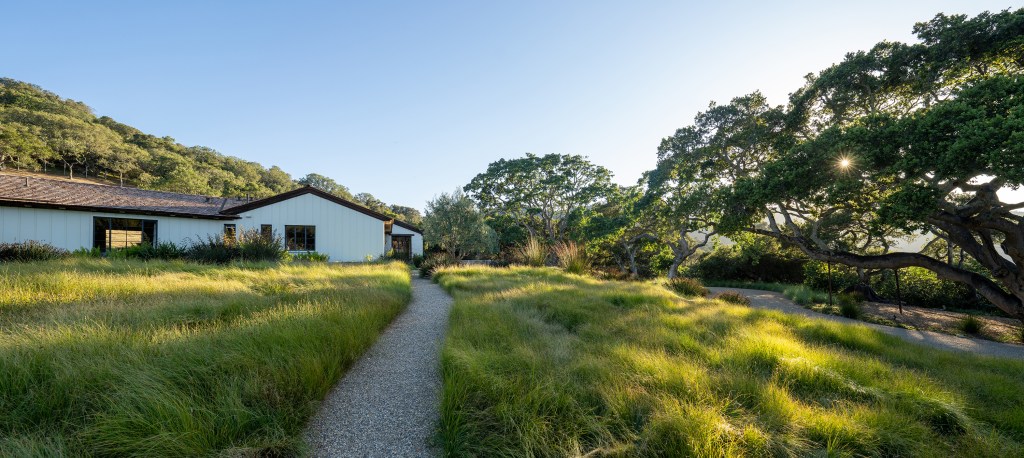 Carmel Ranch Meadow Grasses