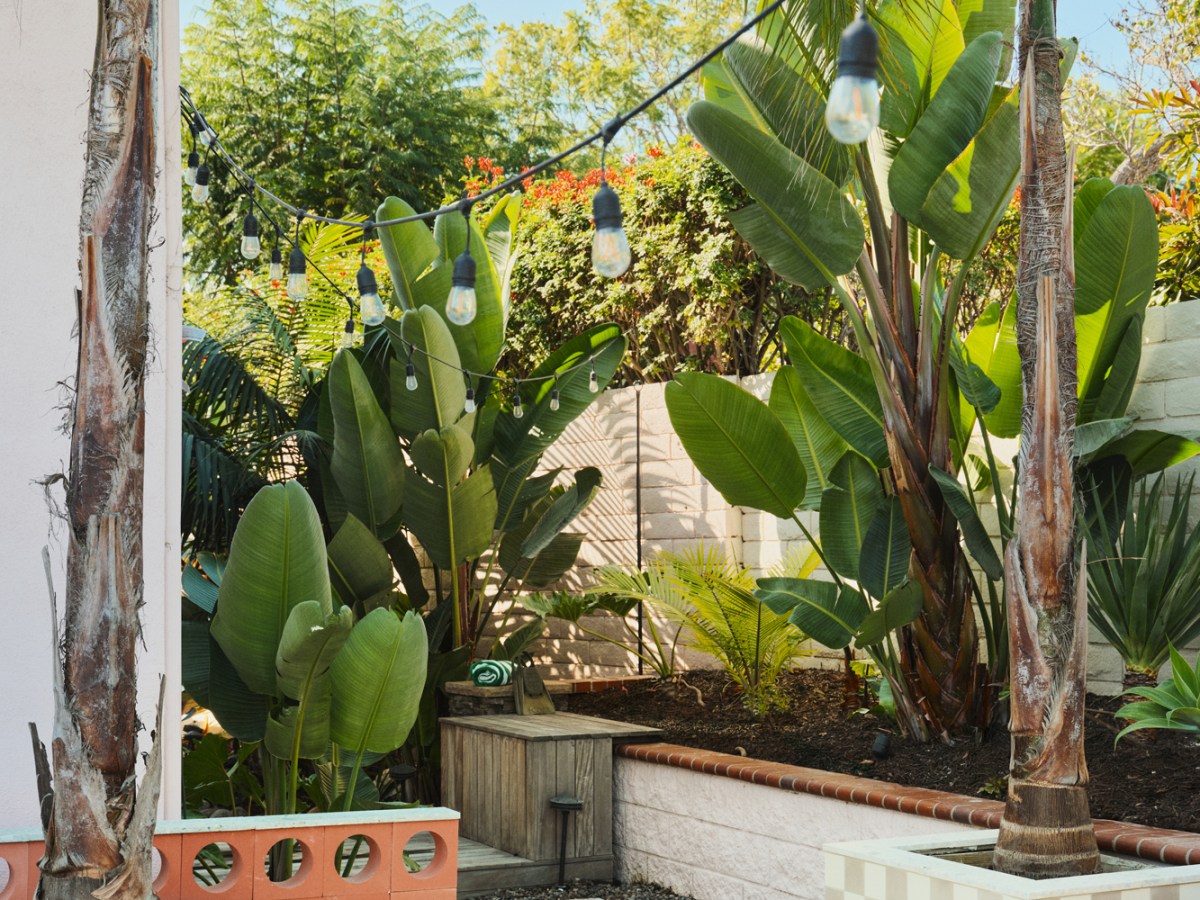 Breeze Blocks and Greenery