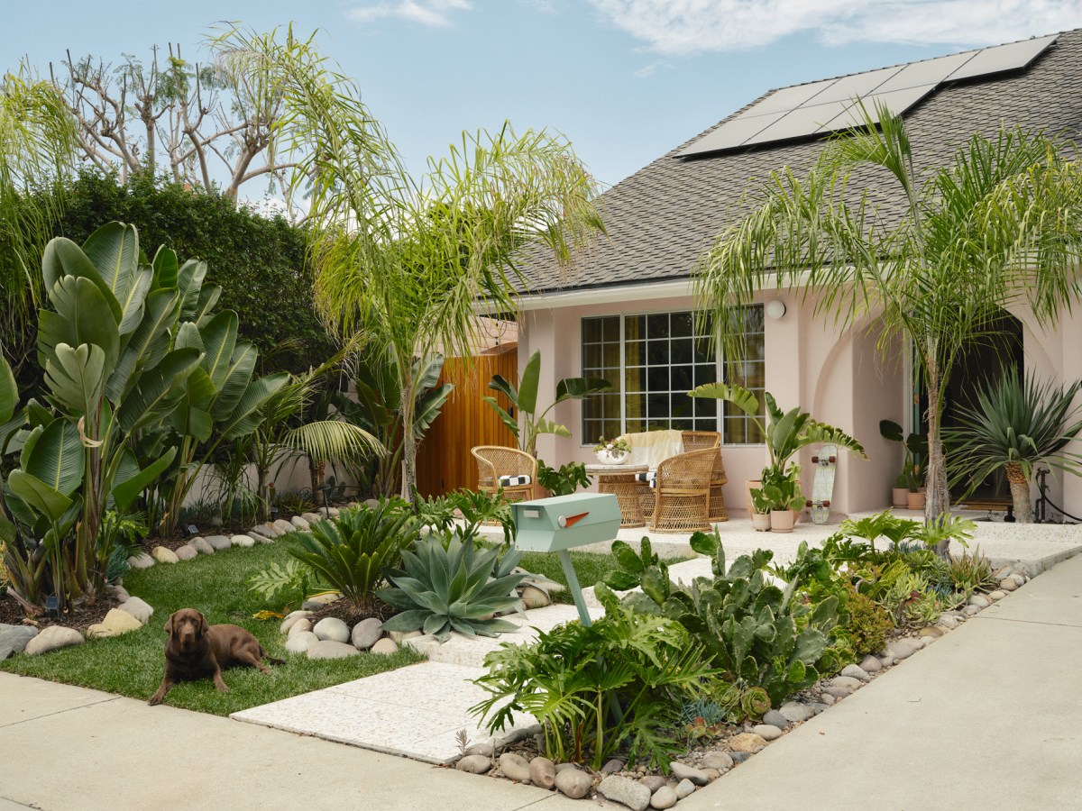 Kate Balsis Home