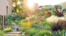 Easy Waterwise Garden Slope Garden