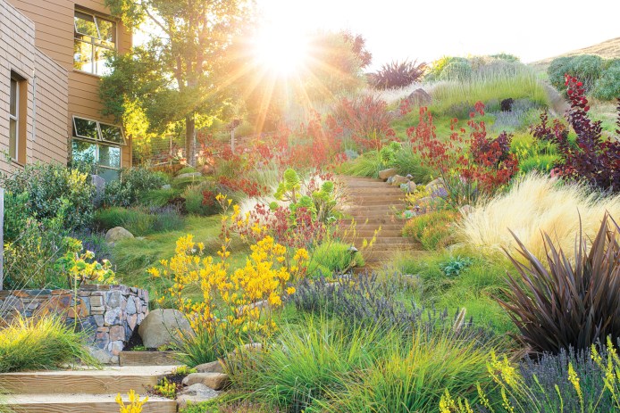 Easy Waterwise Garden Slope Garden