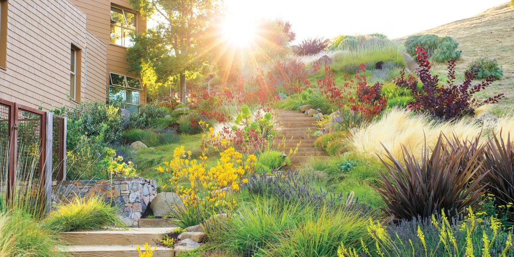 5 Tips for Turning an Awkward Slope into a Thriving Landscape