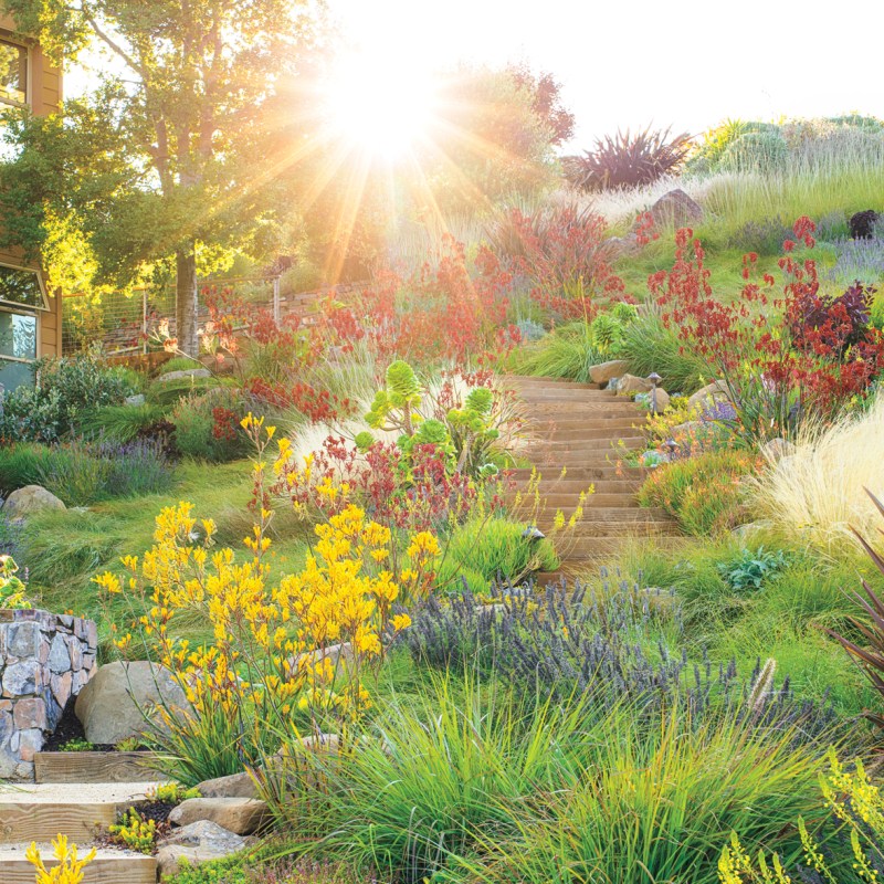 5 Tips for Turning an Awkward Slope into a Thriving Landscape