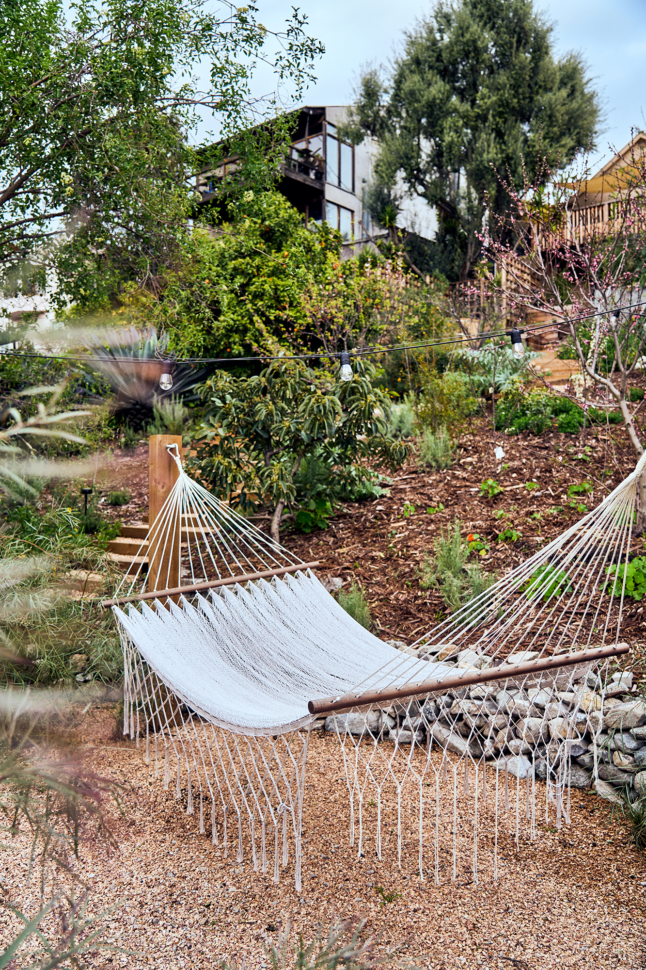 Kismet Garden Los Angeles Slope Garden Terremoto Hammock