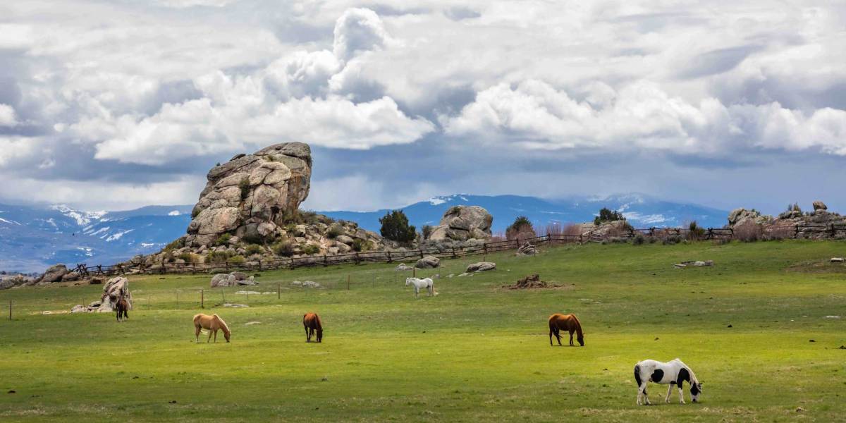 Iconic-Rock-w-Horses