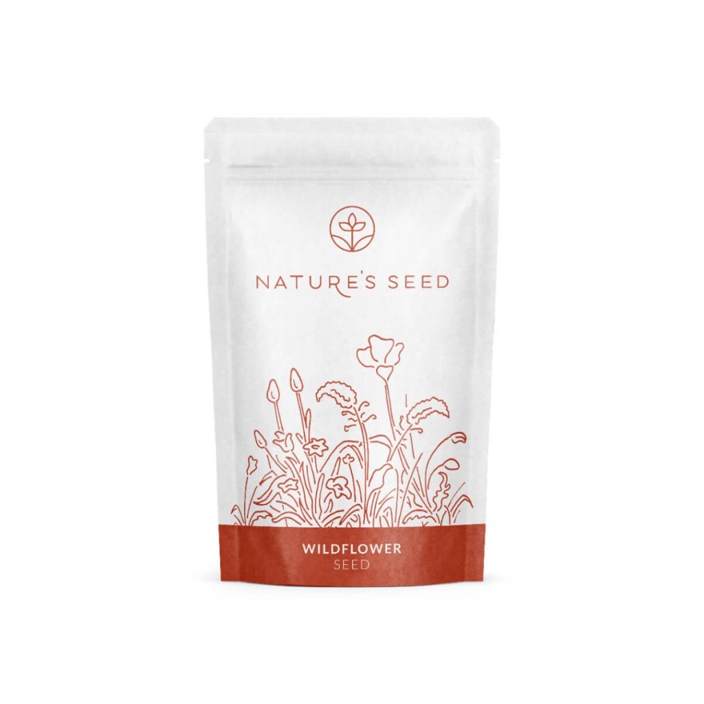 Nature's Seed Wildflower Seed