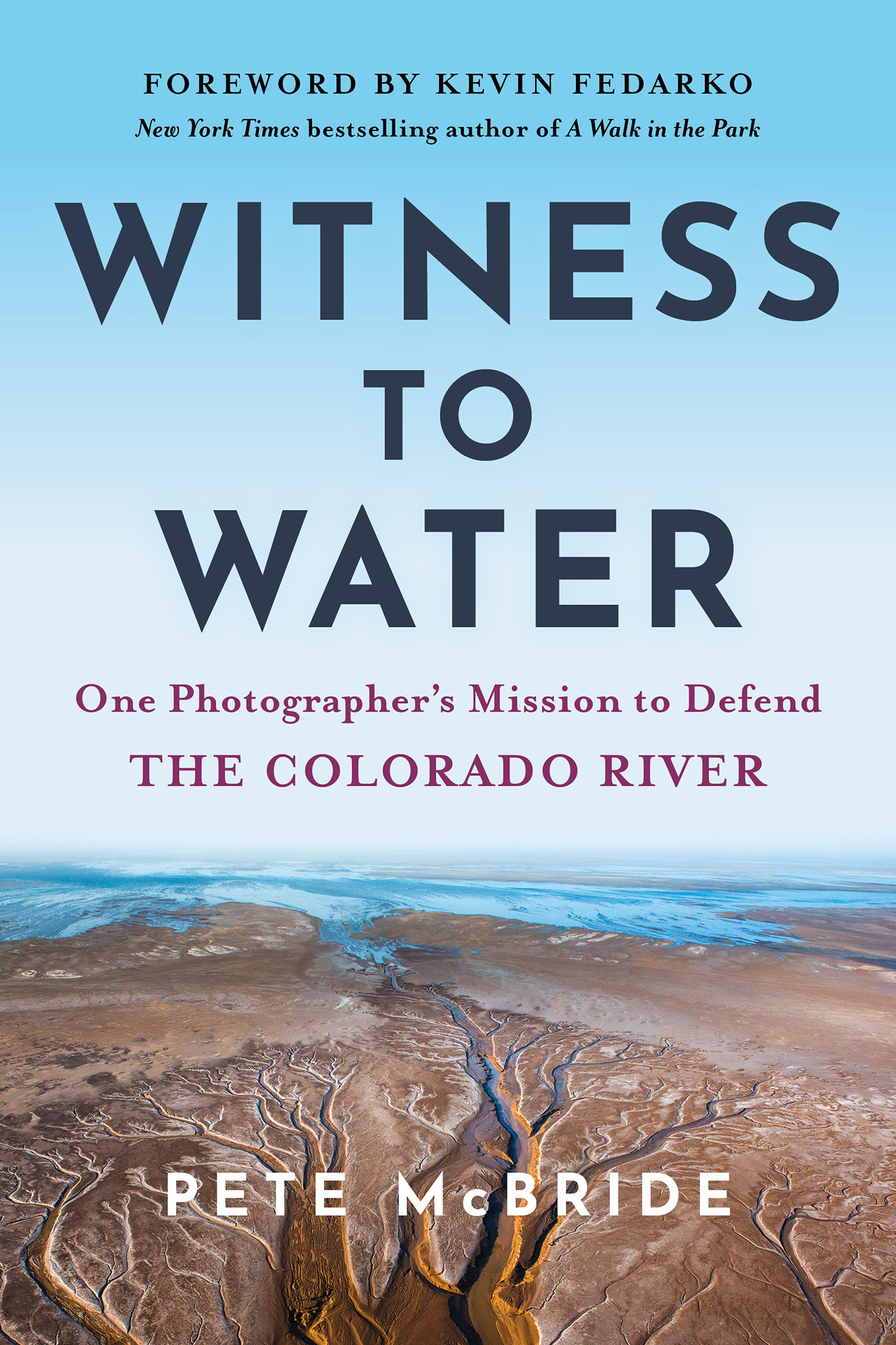 Witness to Water Book Cover