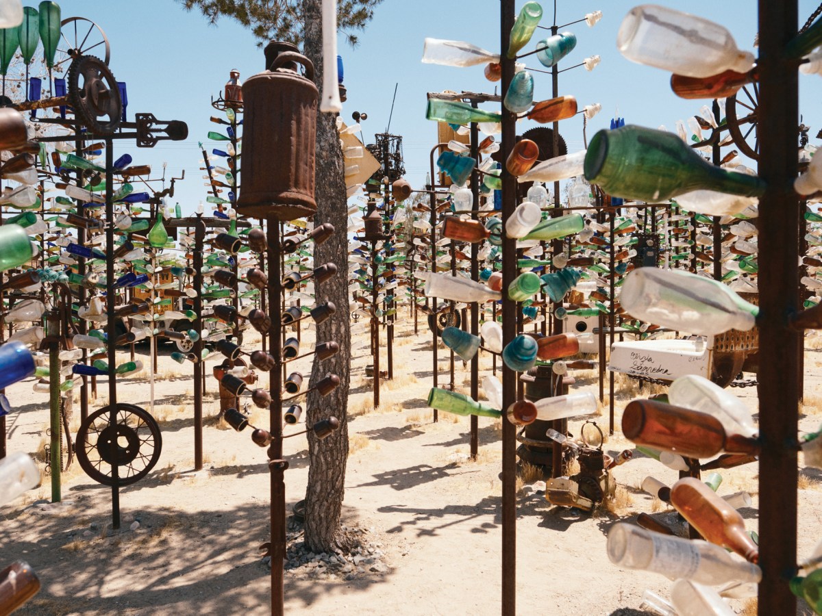 Elmers Bottle Tree Ranch in Oro Grande