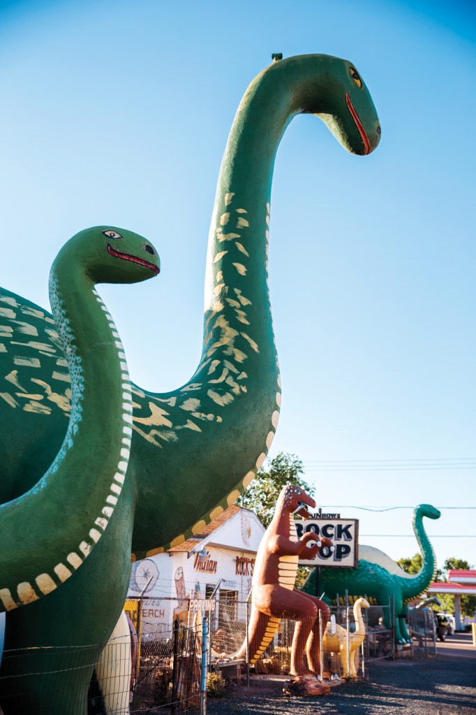 Rainbow Rock Shop Dinosaurs