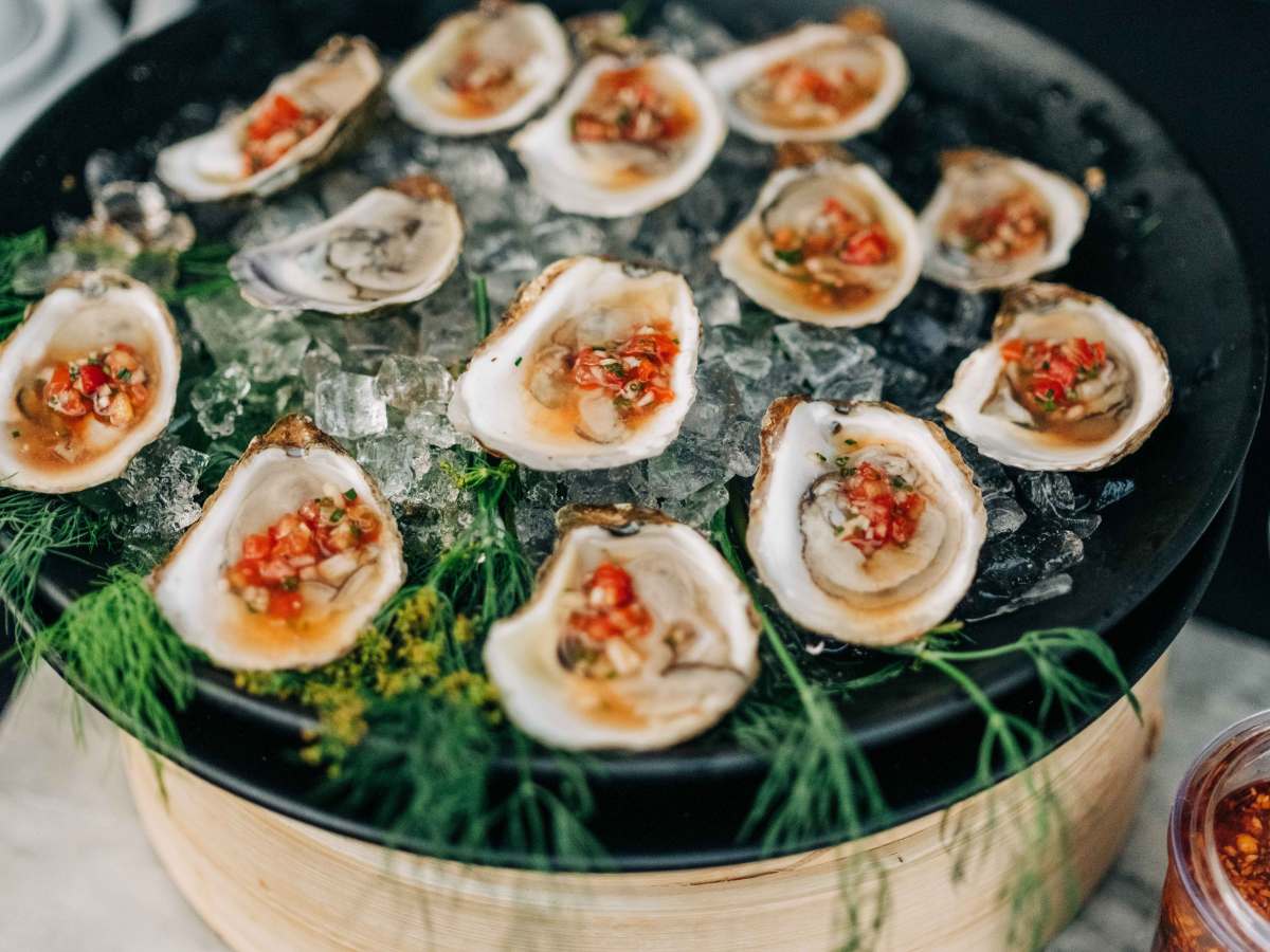 Oysters