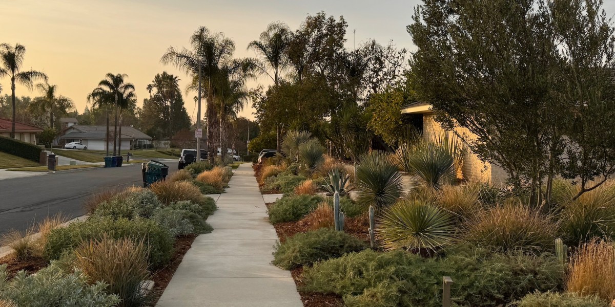The ‘Mailbox Garden’ Is the Quickest Way to Add Curb Appeal