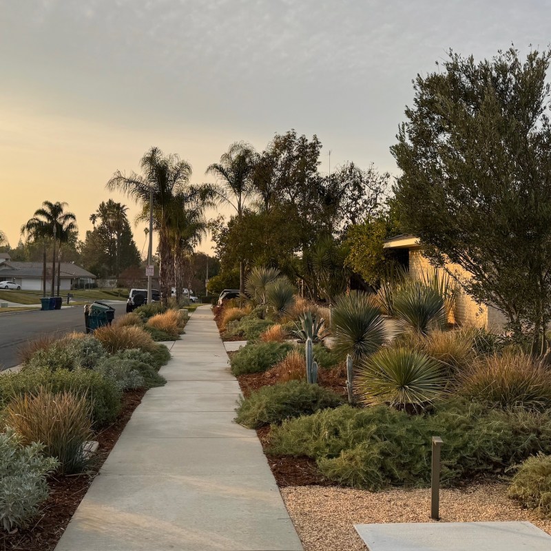 The ‘Mailbox Garden’ Is the Quickest Way to Add Curb Appeal