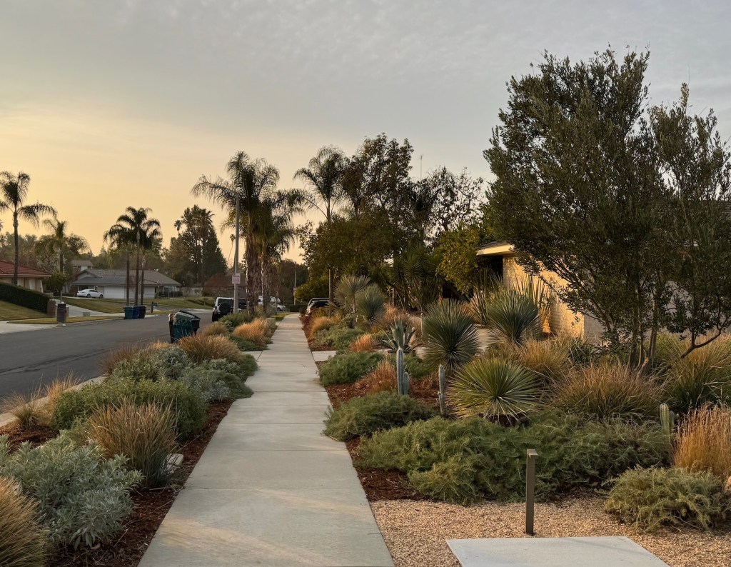 The ‘Mailbox Garden’ Is the Quickest Way to Add Curb Appeal