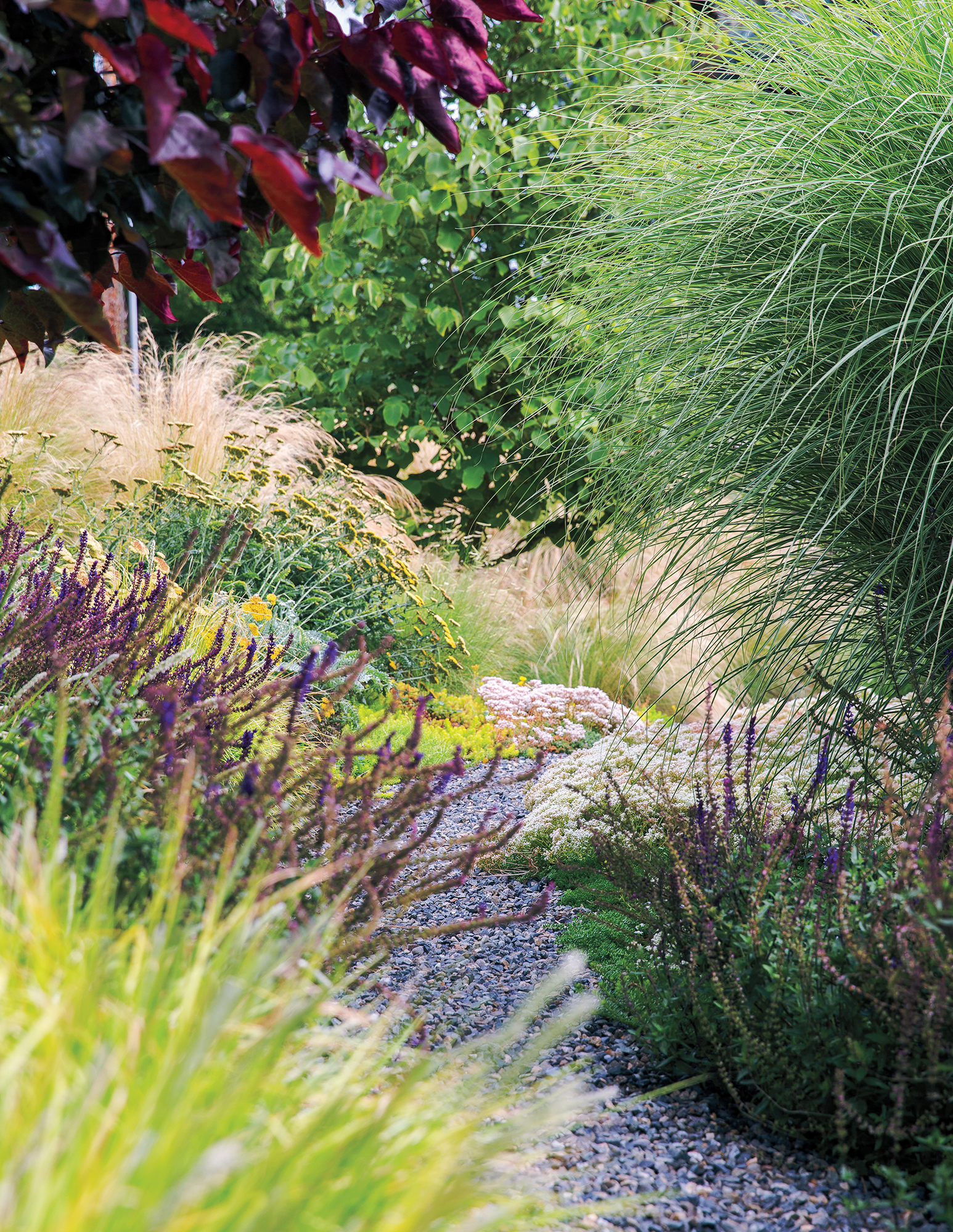 Bainbridge Bliss Garden Design