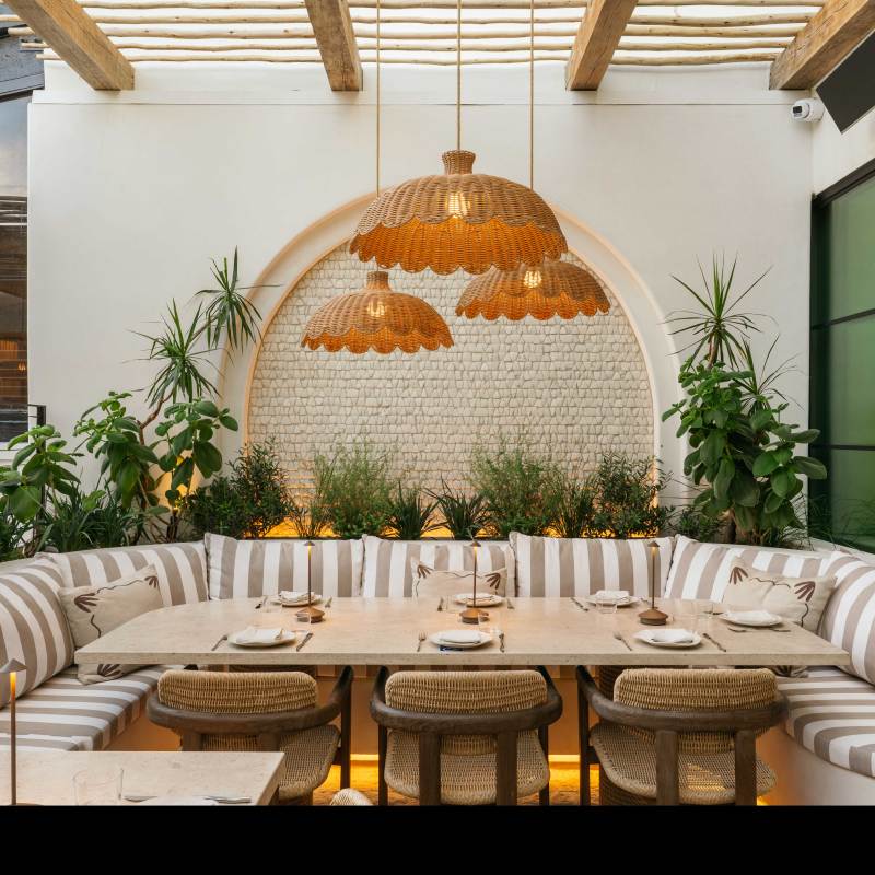 A Plant Lover’s Guide to 24 Hours on Coronado Island
