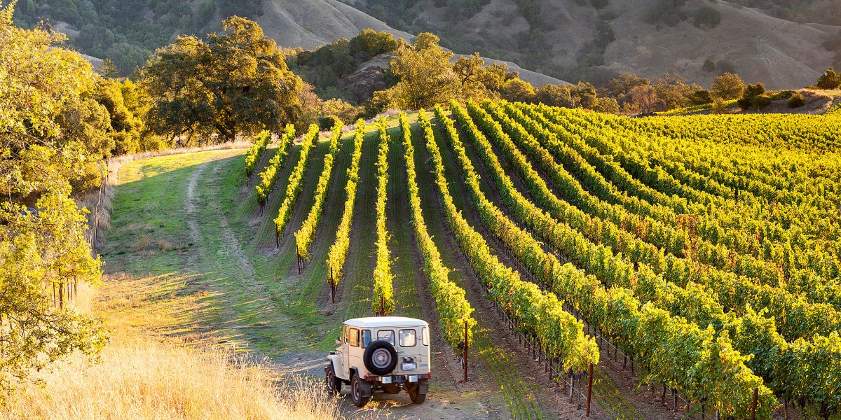These Wines Will Transport You to the West’s Most Iconic Wine Country Regions