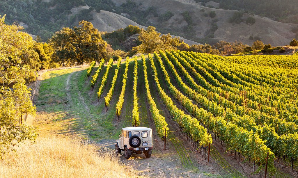 These Wines Will Transport You to the West’s Most Iconic Wine Country Regions