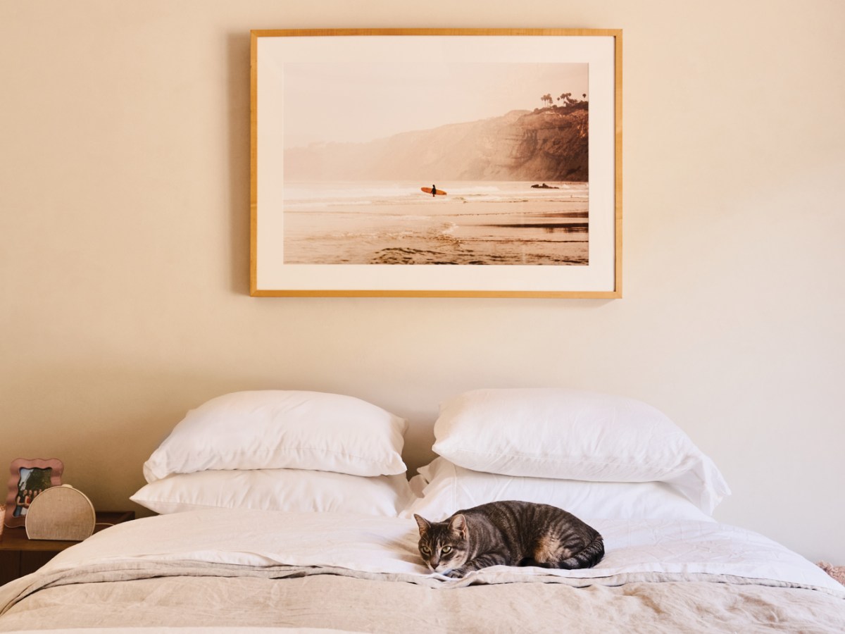Cat on the Bed