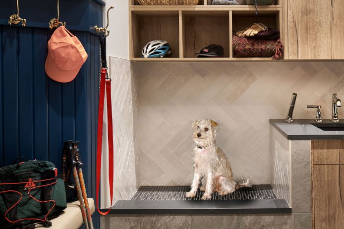Pet Bath by Rumor Design
