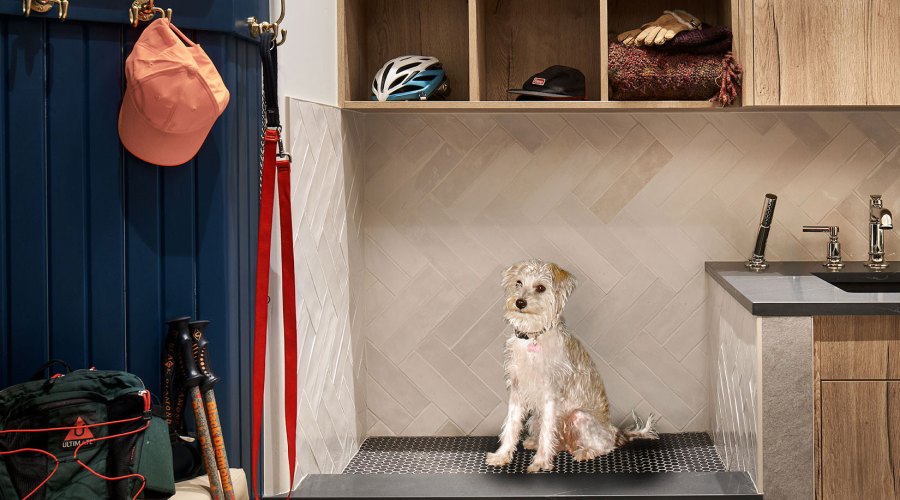 Designers Share Their Secrets to a Purr-Fect, Pet-Friendly Home