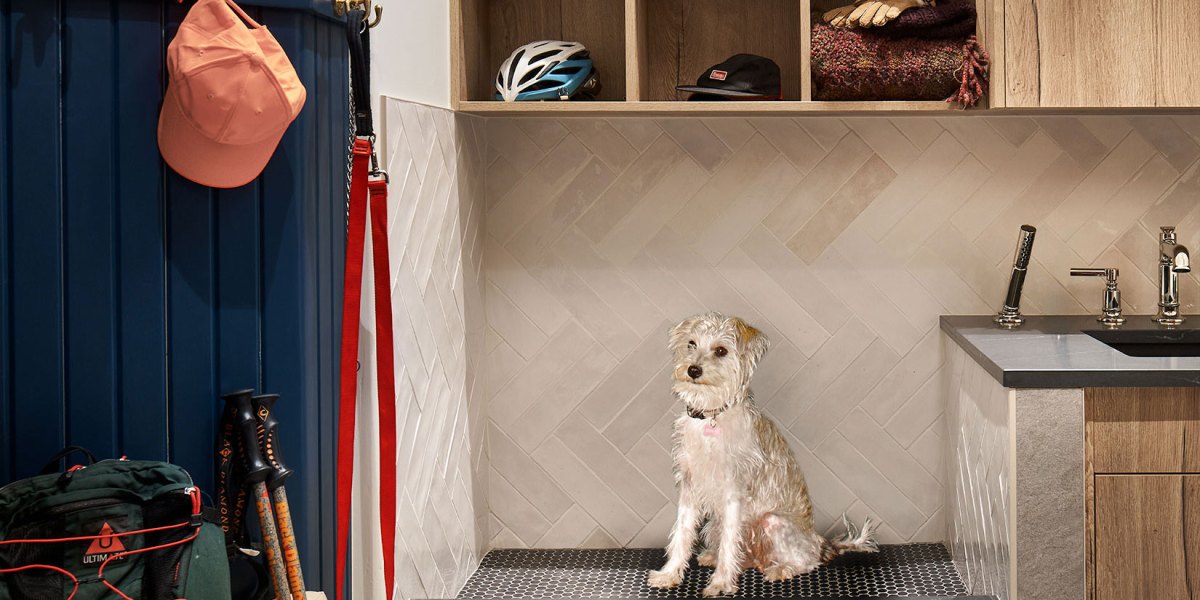 Designers Share Their Secrets to a Purr-Fect, Pet-Friendly Home