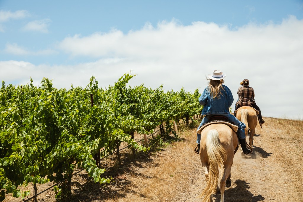 Buttonwood Farm Horseback Ride