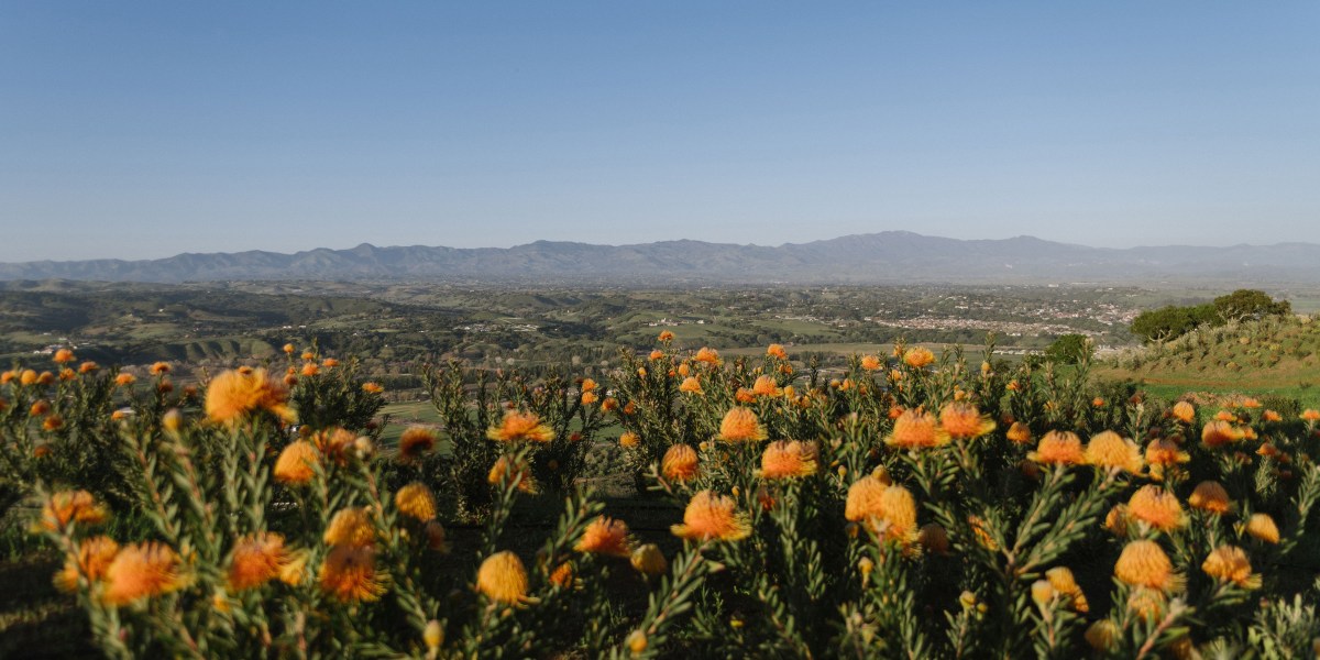 The Other Side of Solvang: The Garden Lover’s Guide to California’s Danish Village