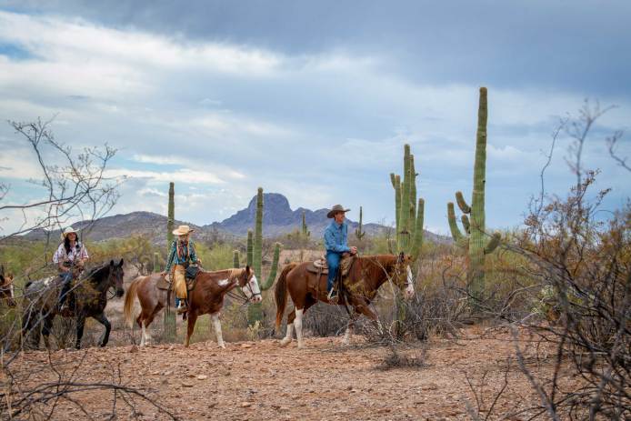 Horseback Riding Among Cacti