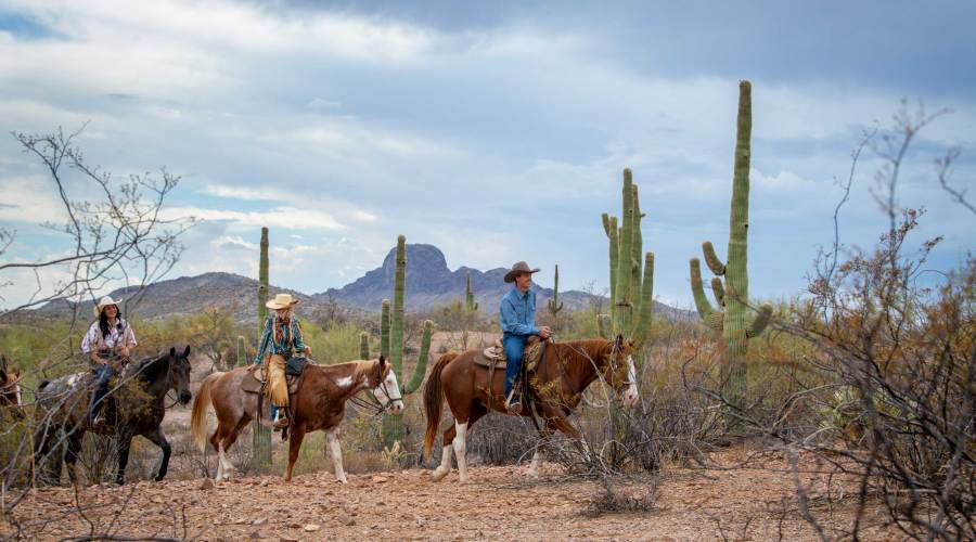I Went West to Ride Horses. I Came Back with an Unexpected Lesson.