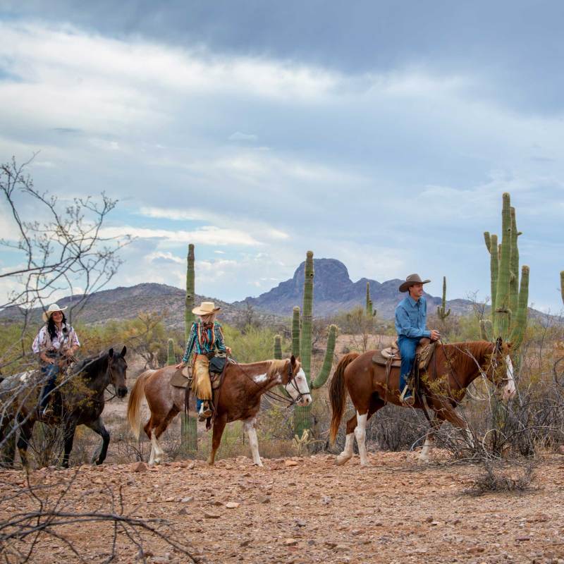 I Went West to Ride Horses. I Came Back with an Unexpected Lesson.