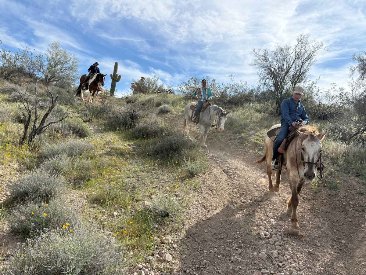 Hugh on a Trailride