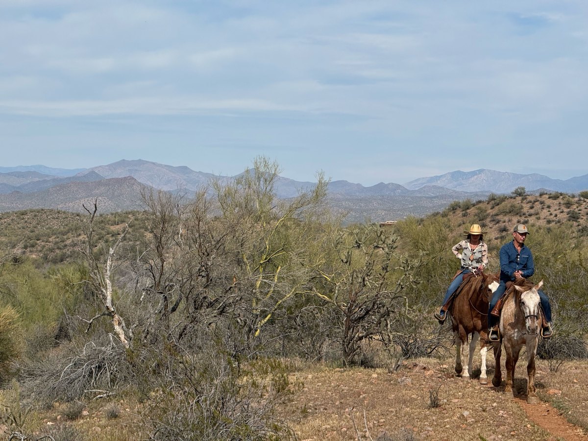 Hugh on Horseback in the Desert