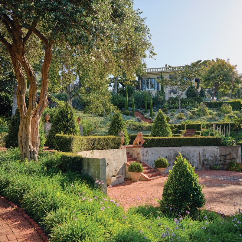 Lion Terrace
