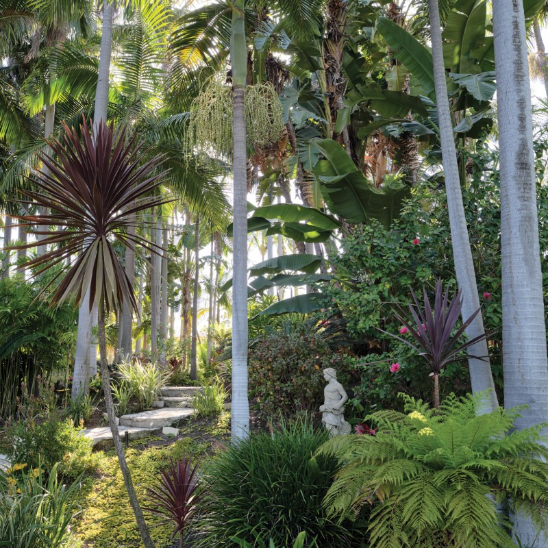 Statue in Fern Garden