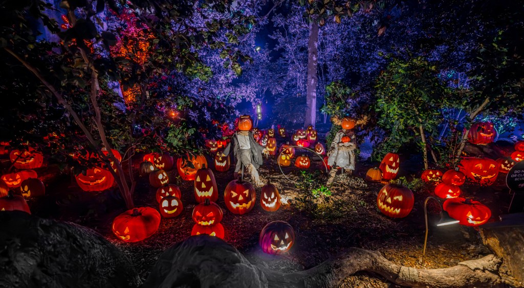 Descano Gardens decorated with jack-o'-laterns.