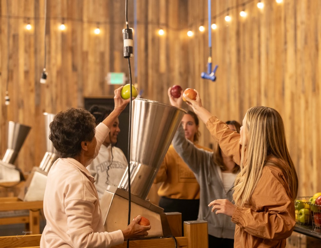 Women putting apples into cider press.