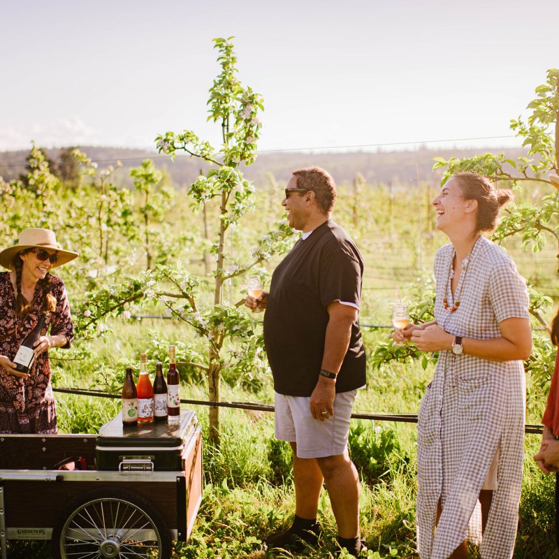 From U-Pick to Cider-Pressing, These Washington Farms Make Apple Season an Adventure