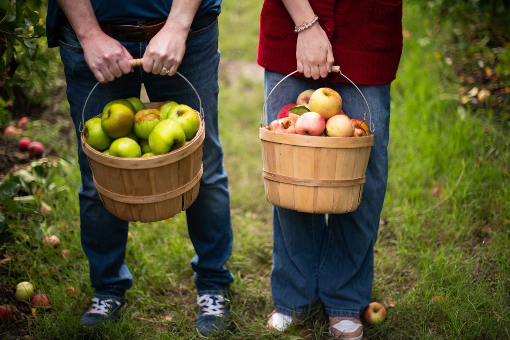 Gopher Glen Apple Farm