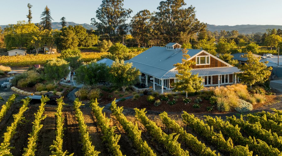 Harvest Season Is Here—Best Activities to Do on the West Coast