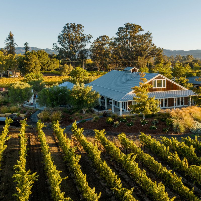 Harvest Season Is Here—Best Activities to Do on the West Coast