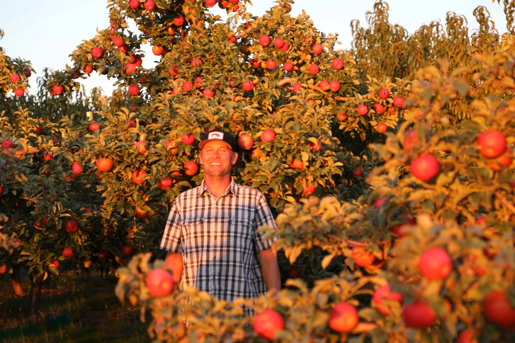 Nicholas Simchuk amongst apple trees.