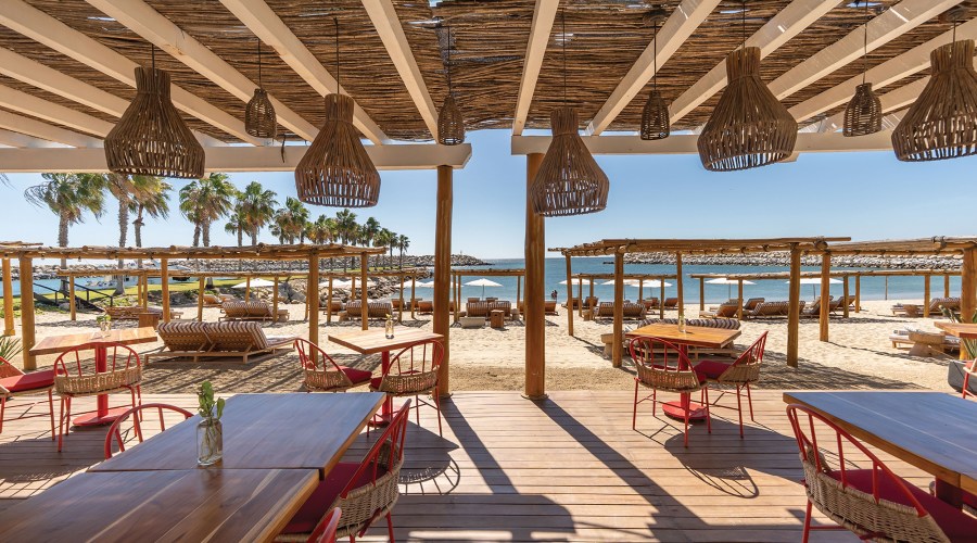 Uncovering the Creative Heart of Los Cabos