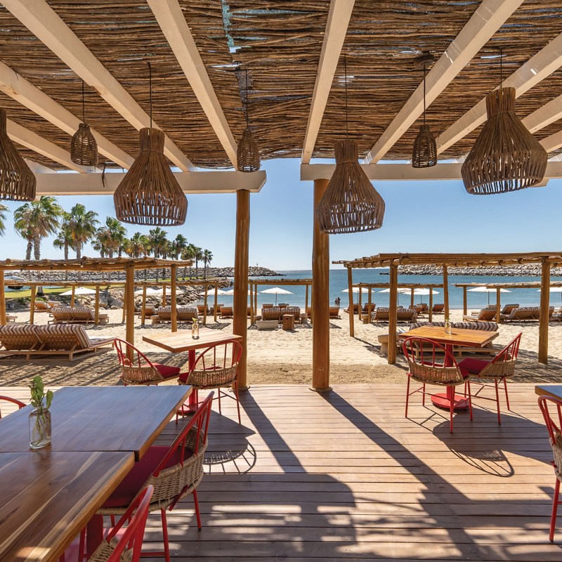 Uncovering the Creative Heart of Los Cabos